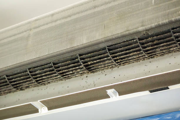 Best Local Air Duct Cleaning Services  in Brownville, NJ